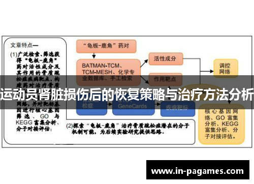 运动员肾脏损伤后的恢复策略与治疗方法分析