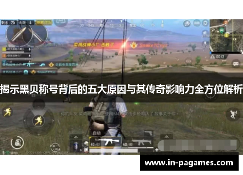 揭示黑贝称号背后的五大原因与其传奇影响力全方位解析