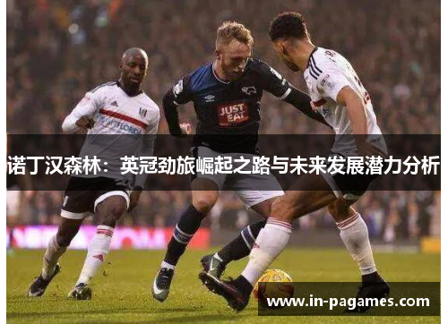诺丁汉森林:英冠劲旅崛起之路与未来发展潜力分析 诺丁汉森林:英冠劲旅崛起之路与未来发展潜力分析