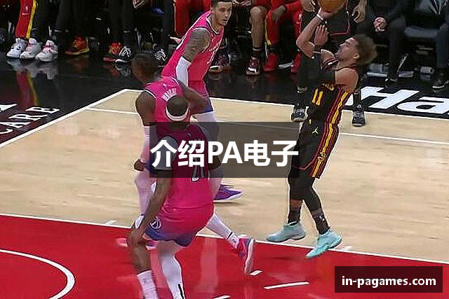 介绍PA电子
